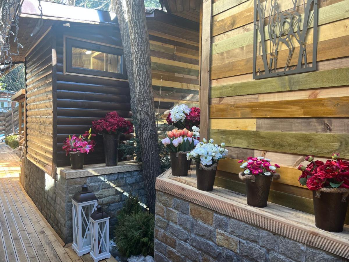 Moura & Villas Borovets Mountain Relax Spa Hotel Luaran gambar
